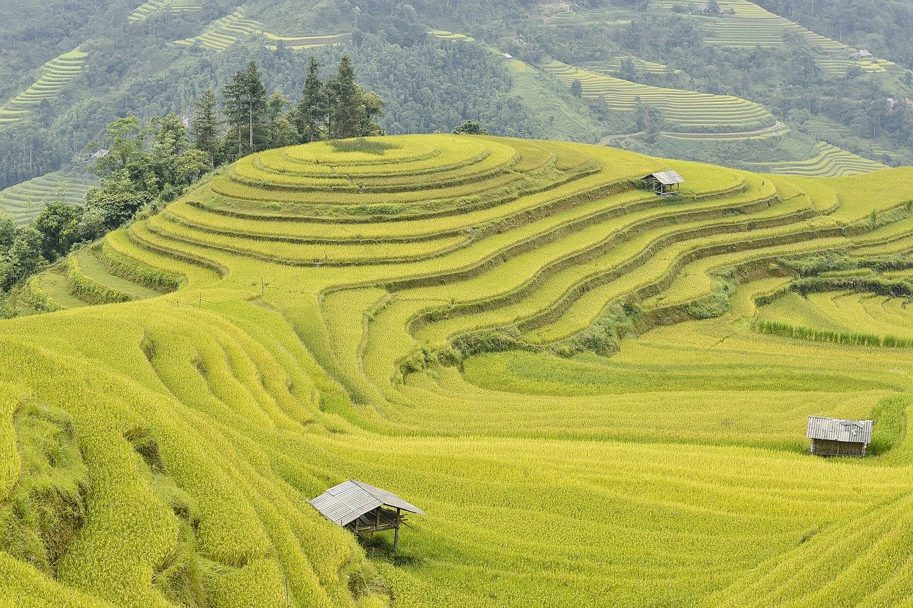 Ingin Liburan di Atas Awan? Ini 5 Aktivitas Menarik Saat Berwisata ke Desa Wae Rebo