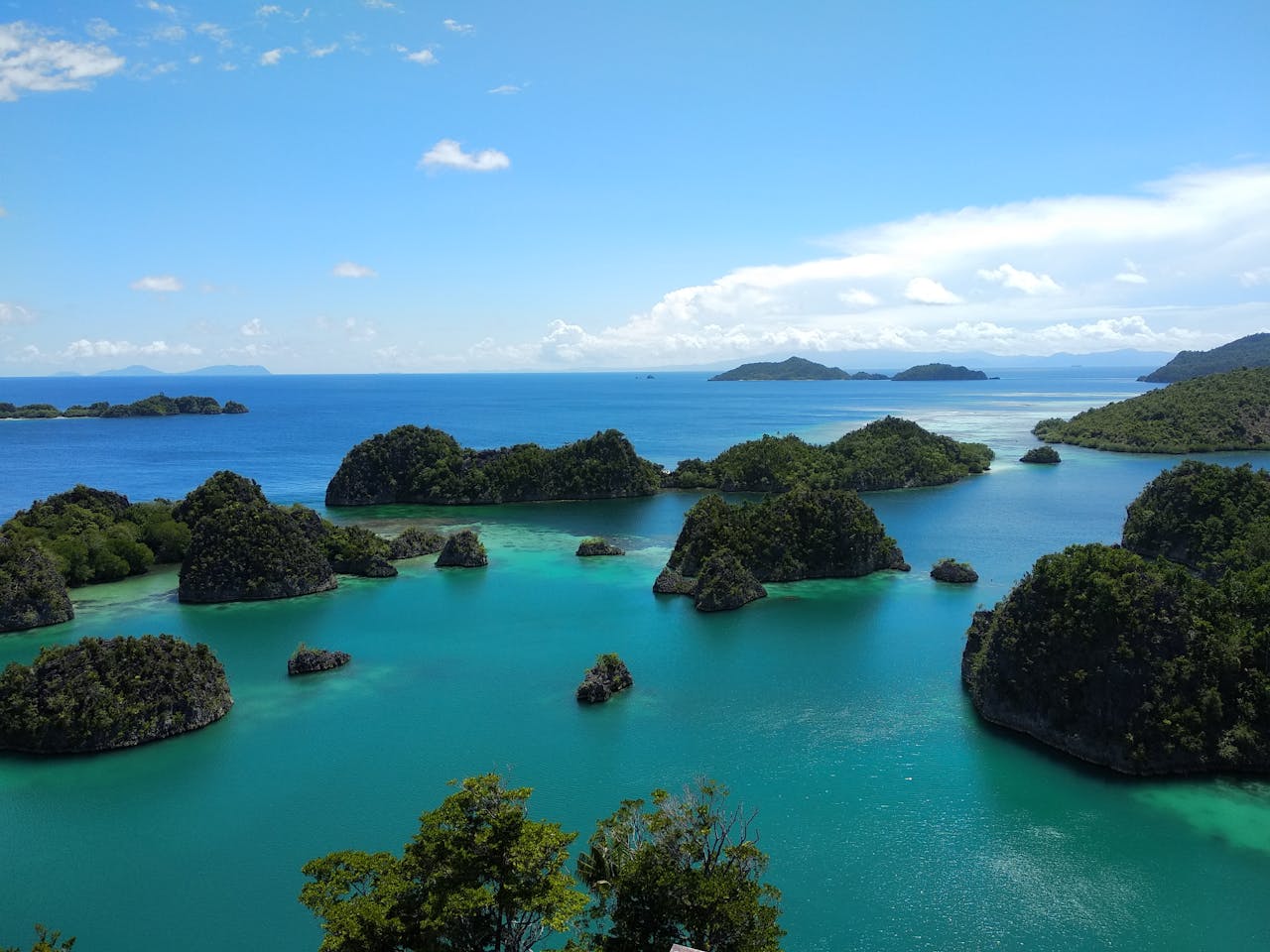 Bermain di Surga Kecil, Ini 5 Aktivitas Menarik di Raja Ampat