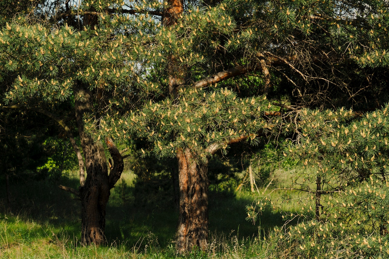 5 Destinasi Wisata Kepulauan Terbaik di Kalsel